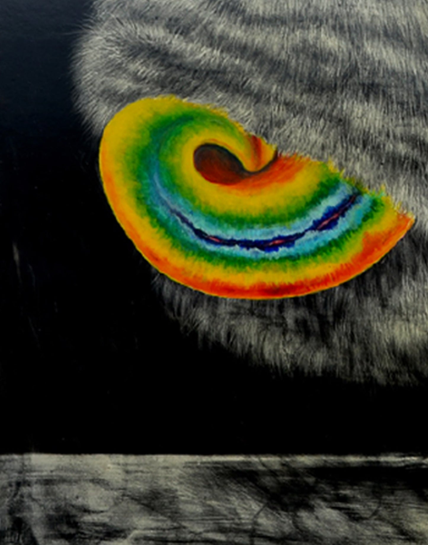 Fluff Ball by Kirilla Mihai